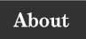 Elder Law Estate Planning Lawyer Attorney Cairo Catskill Coxsackie Greene County